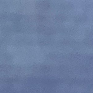 Meet your Posher, Vanessa lisa